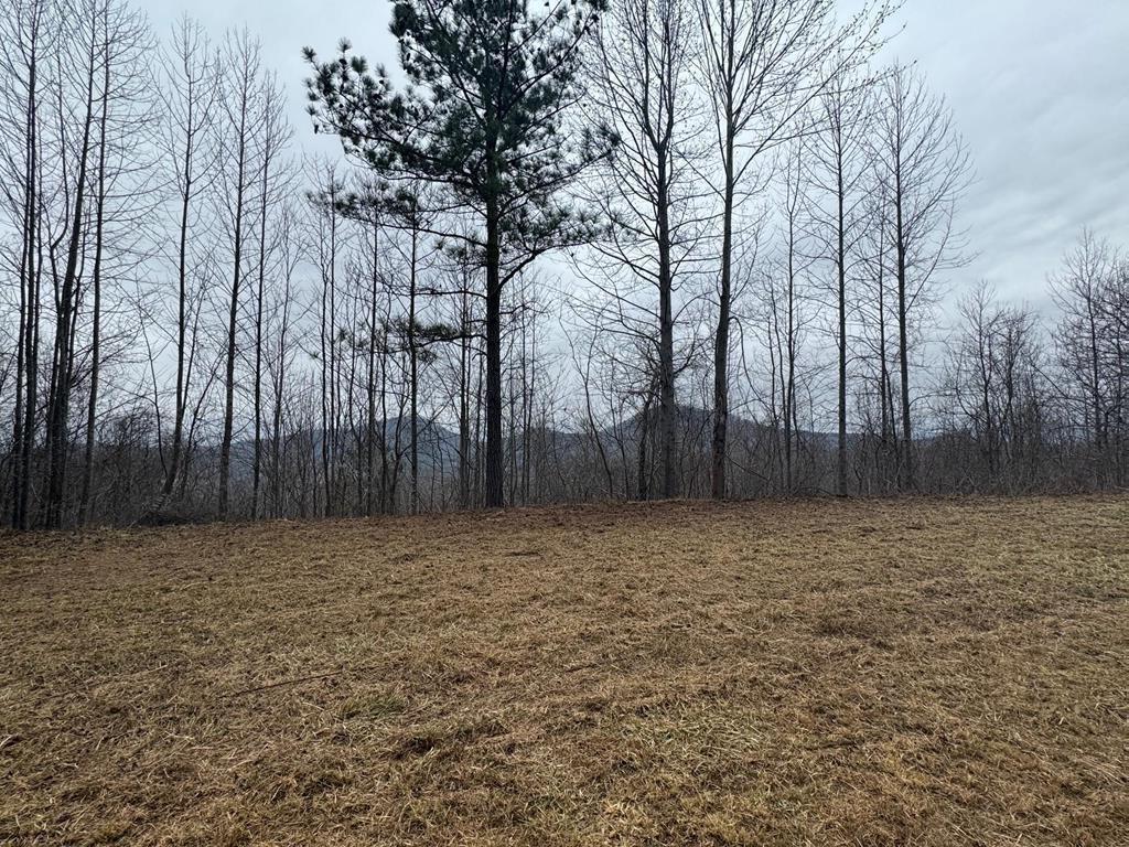 Lot 10 Chatuge Manor Dr., Young Harris, GA 30582
