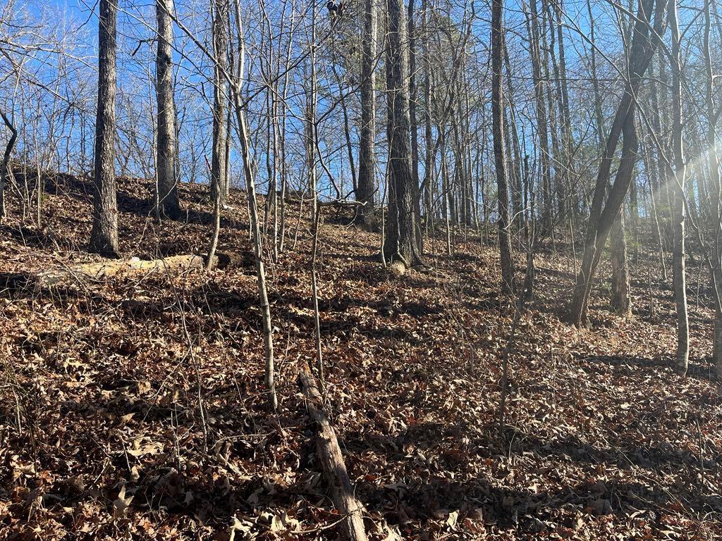 River Top, Talking Rock, GA 30175