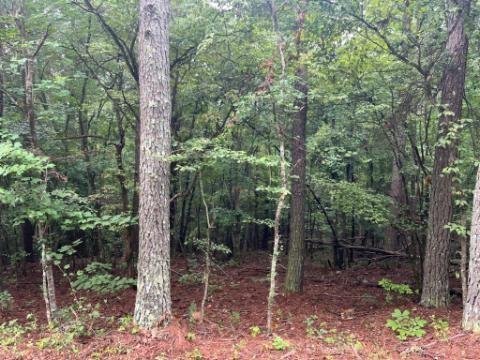 2708-B Narroway Church Cir., Dallas, GA 30132