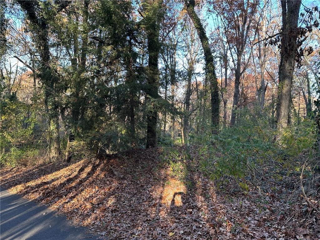 110 Cherry St., Roswell, GA 30075