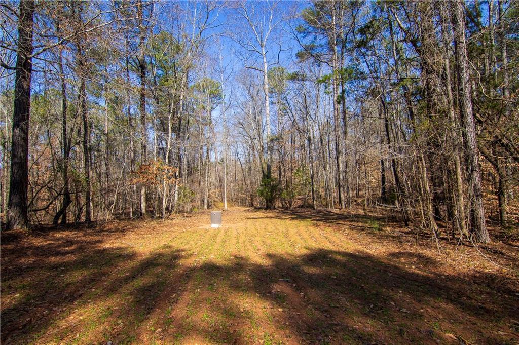 Kings Gap Rd., Hamilton, GA 31811