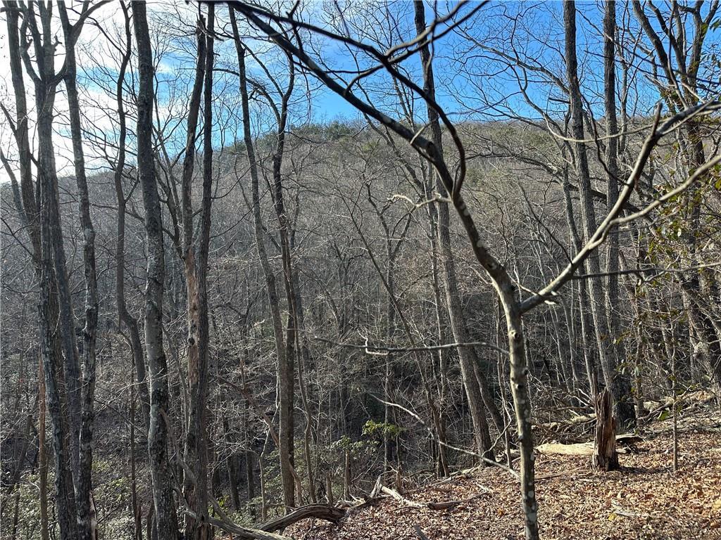 Lt1141 Oglethorpe Mountain Rd., Jasper, GA 30143