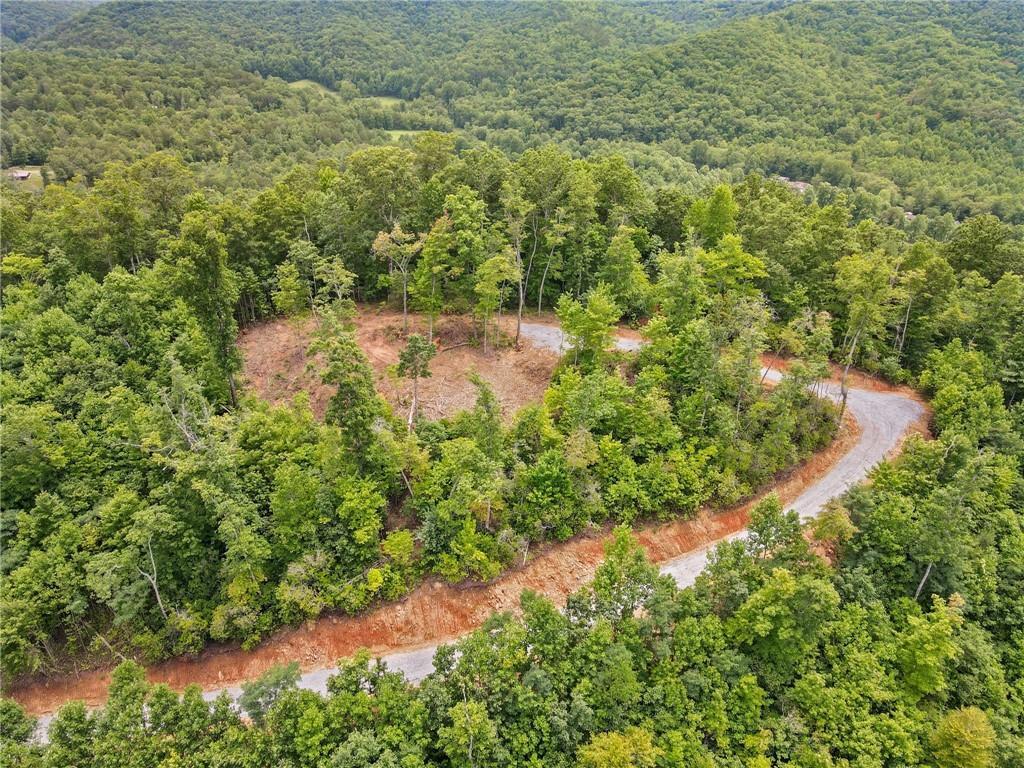 4.48 Acres Tom Wheeler Rd., Hiawassee, GA 30546