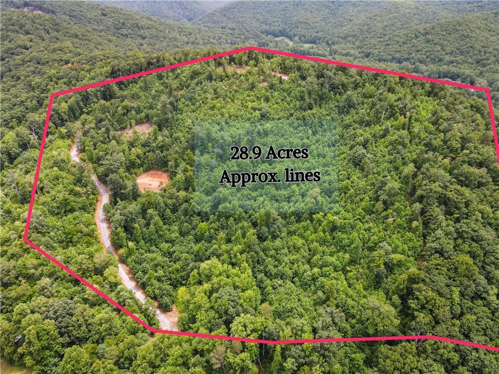 28.90 Acres Tom Wheeler Rd., Hiawassee, GA 30546