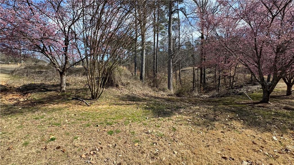 5204 Prestley Crossing Ln., Douglasville, GA 30135