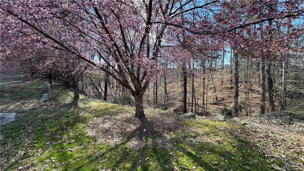 5213 Prestley Crossing Ln., Douglasville, GA 30135