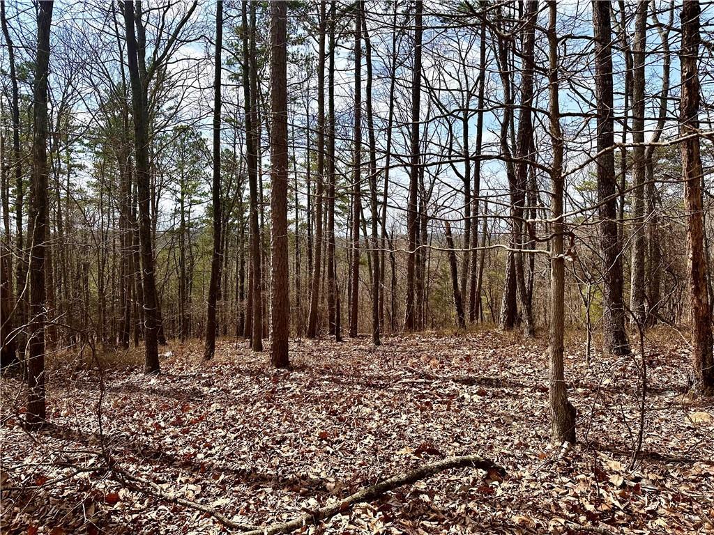 1344 Hunter Dr., Ranger, GA 30734
