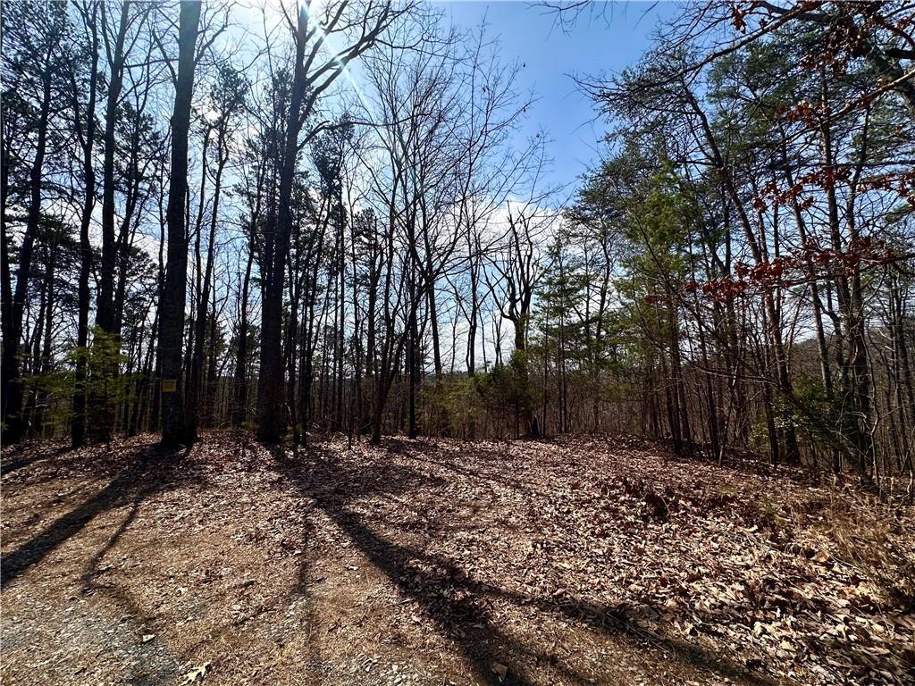 1345 Hunter Dr., Ranger, GA 30734