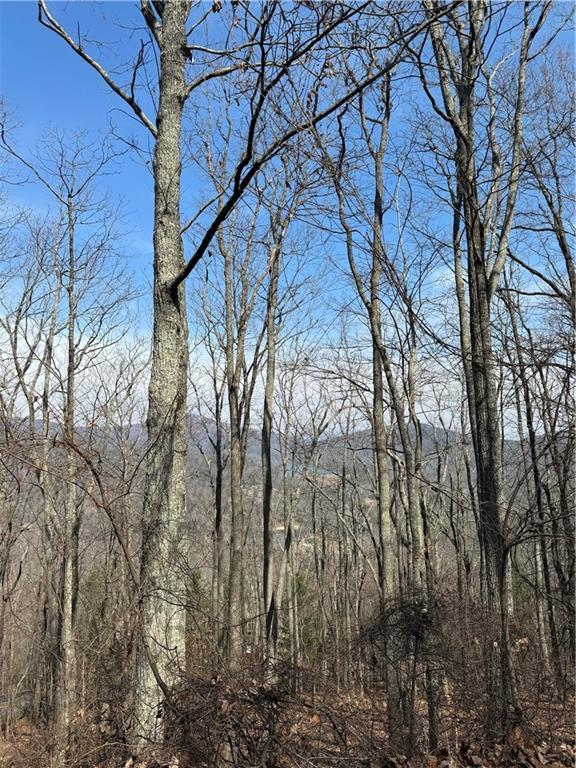 8261 Cox Mountain Dr., Big Canoe, GA 30143