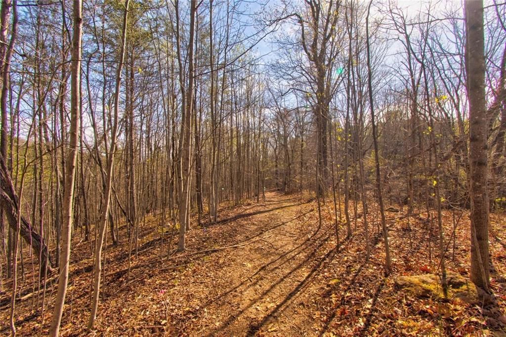 27.68 Chapman Ridge Ln., Dahlonega, GA 30533