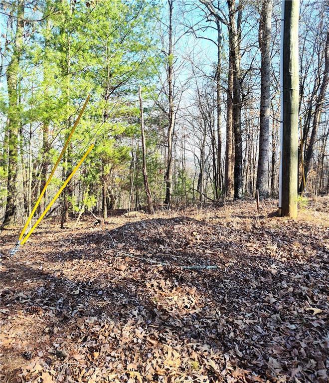 1698 Shade Tree Ln., Talking Rock, GA 30175