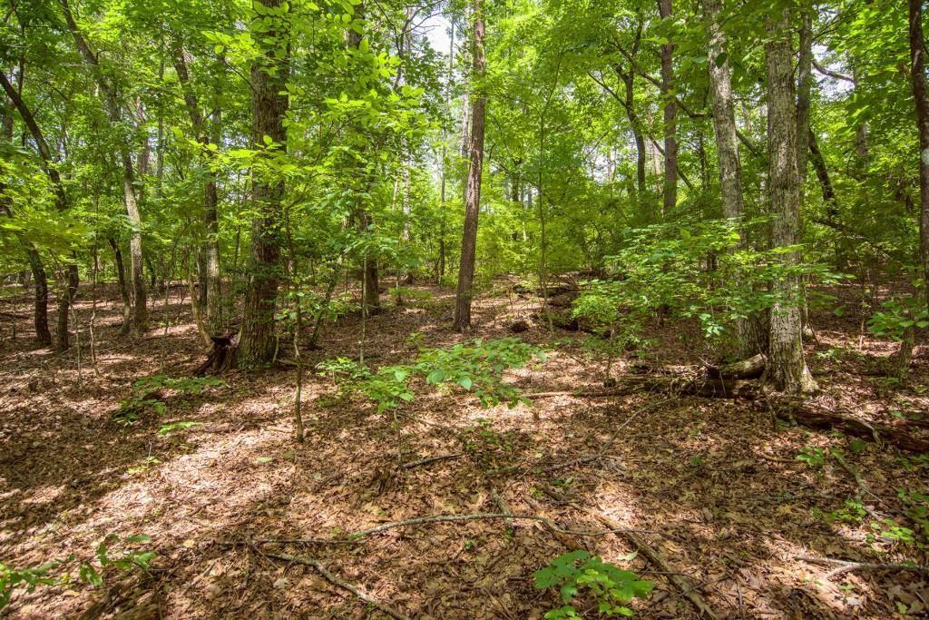 285 Bear Creek Dr., Big Canoe, GA 30143
