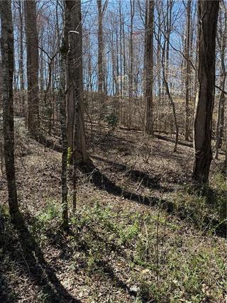 New Foreclosures & Short Sales in Dahlonega: March 17th to March 23rd