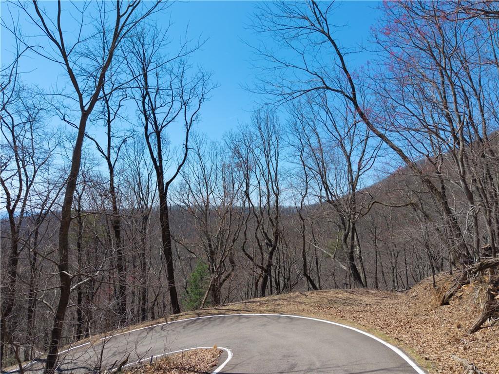 376 Deer Run Ridge, Big Canoe, GA 30143