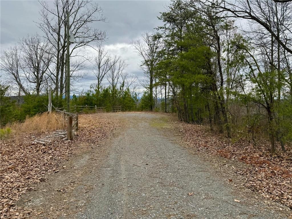 989 Blade Ct., Ranger, GA 30734