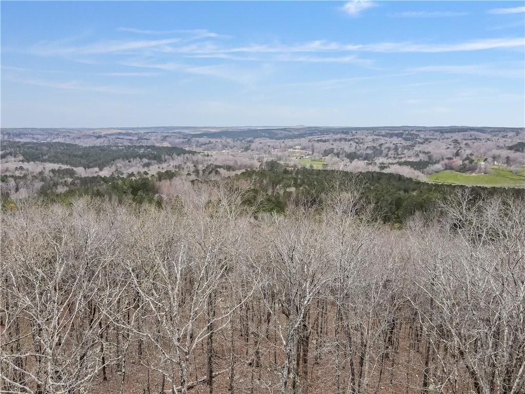 1845 Tibbitts Rd., Dallas, GA 30132