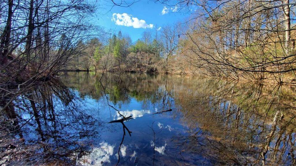 51+ AC Mountain Cove Way, Cherry Log, GA 30522
