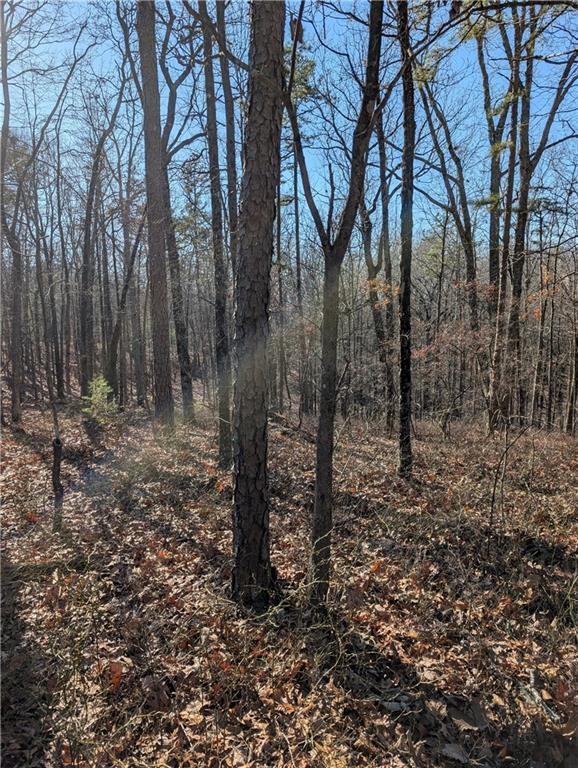 1422 Hanna Dr., Ranger, GA 30734