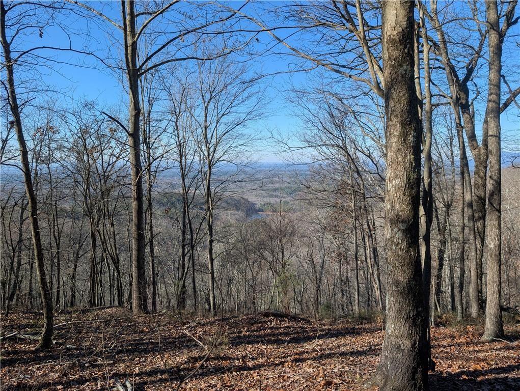 234 Stirratt Rd., Ranger, GA 30734