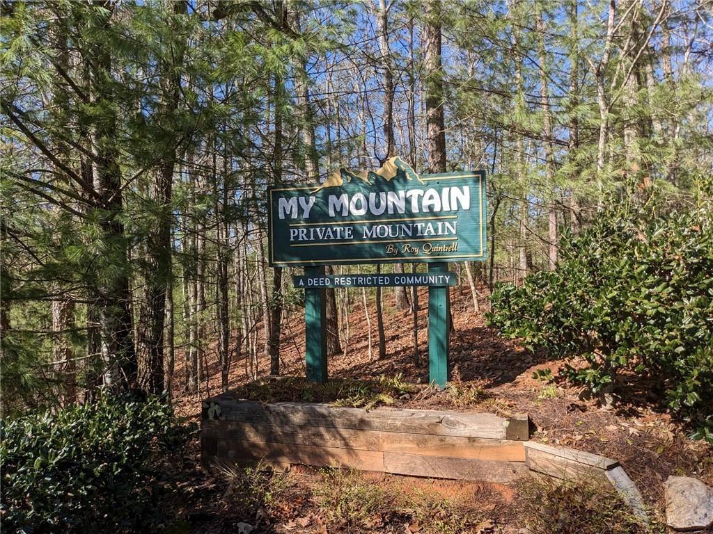 My Mountain Rd., Morganton, GA 30560