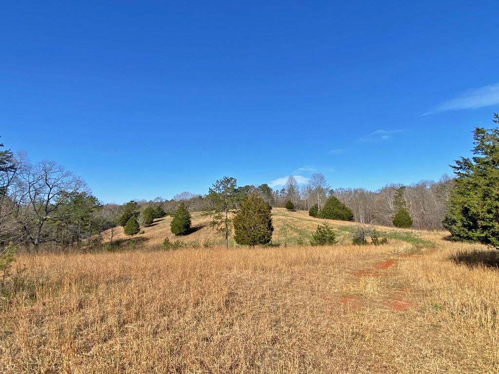 Ga Hwy. 9 South, Dahlonega, GA 30533