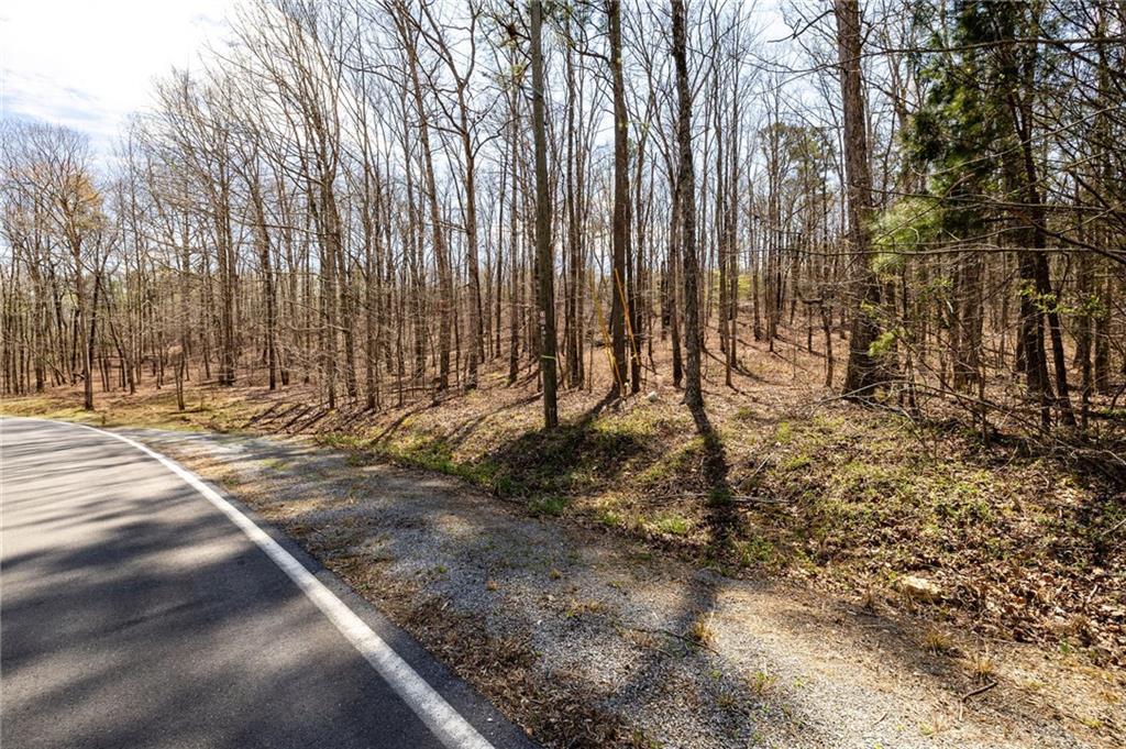 000 Flowery Branch Rd., Kingston, GA 30145