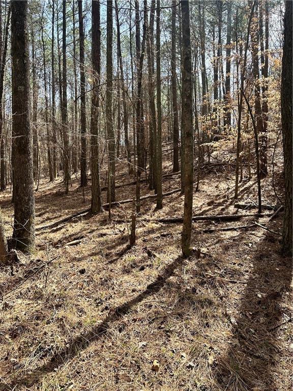Autry Rd., Plainville, GA 30733