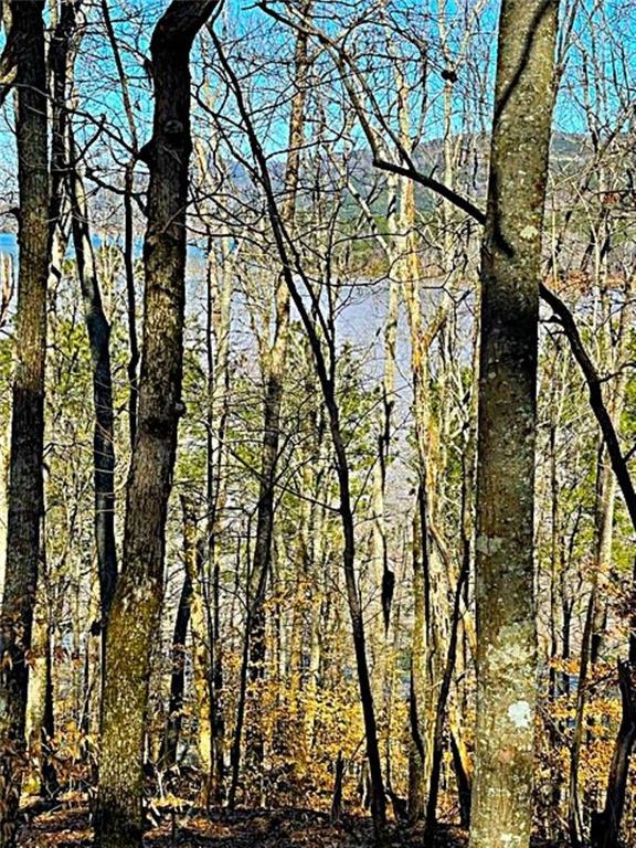 Carters Overlook Dr., Chatsworth, GA 30705