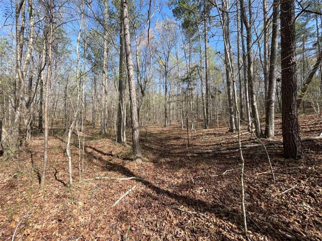 1174 Little Texas Valley Rd., Rome, GA 30165