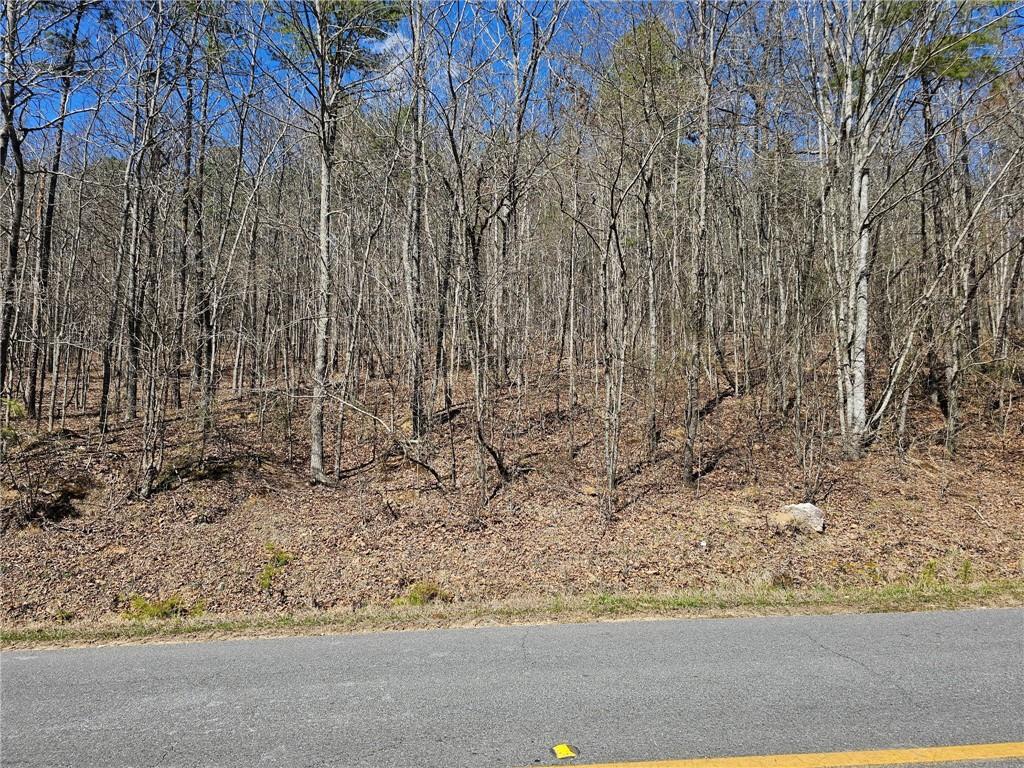 Prior Station Rd., Cedartown, GA 30125
