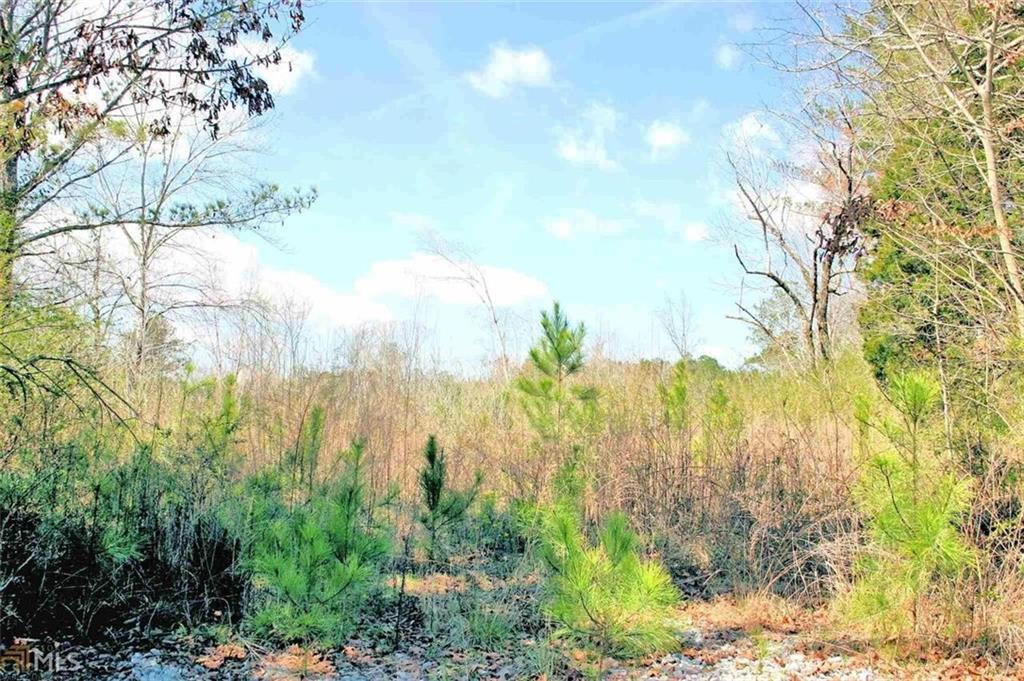141 Bethlehem Church Rd., Carrollton, GA 30117