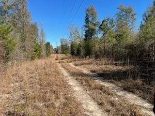 871 Eufalula Hwy., Fort Gaines, GA 39851