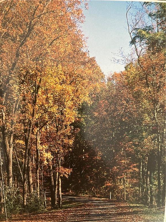 Andes Ridge, Jasper, GA 30143