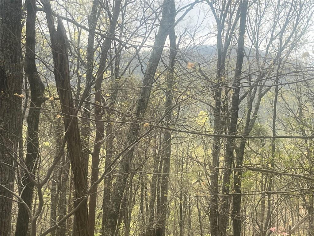 00 Bee Tree Ridge Ct., Jasper, GA 30143