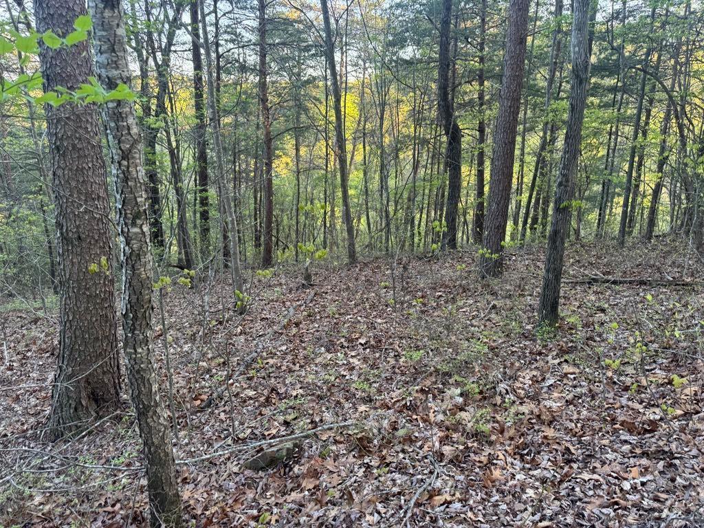 1057 Mayfield Ln., Ranger, GA 30734