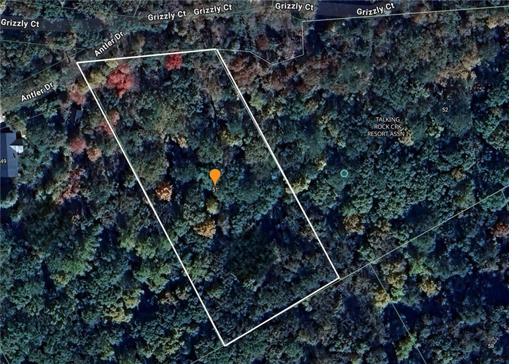 51 Grizzley Ct., Ranger, GA 30734