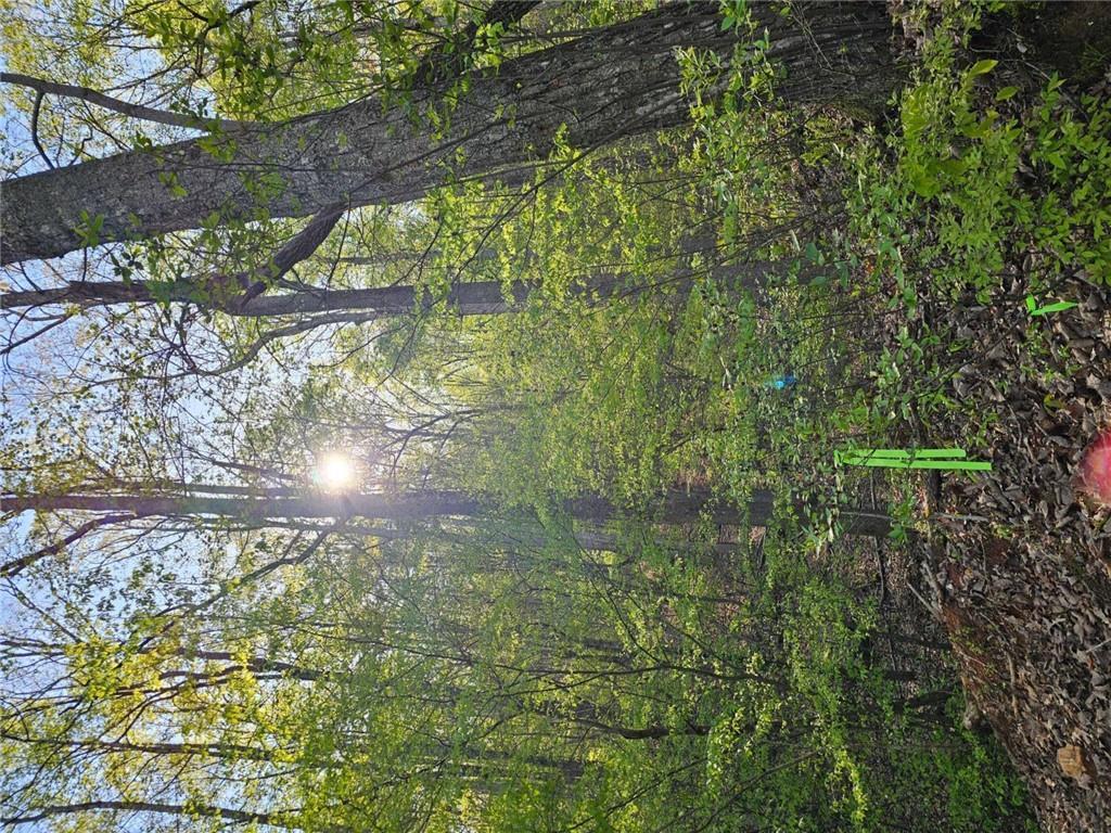 418 NE Dunaway Gap, Summerville, GA 30747