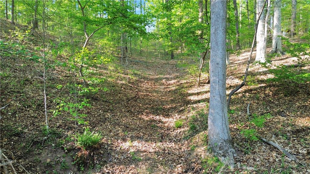 00 Flanagan Mill Rd., Auburn, GA 30011