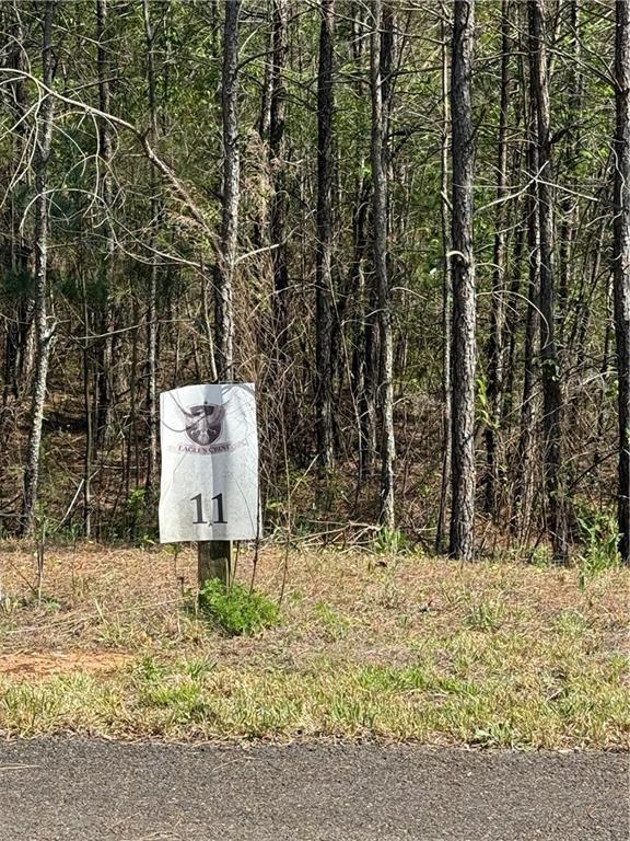 Eastview Tr., Ellijay, GA 30536
