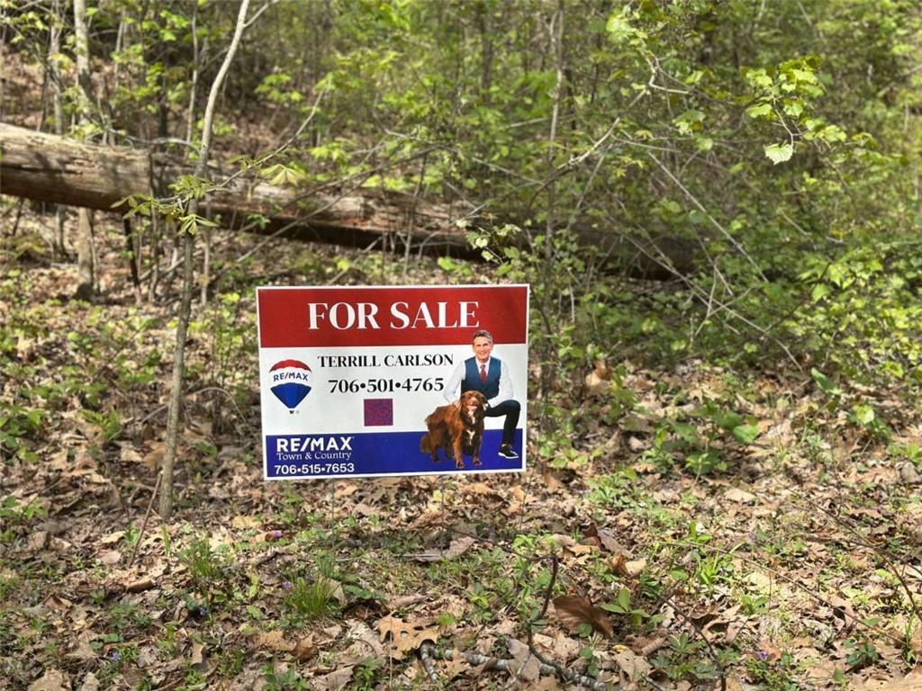LOT 20 Big Ben Rd., Ellijay, GA 30540
