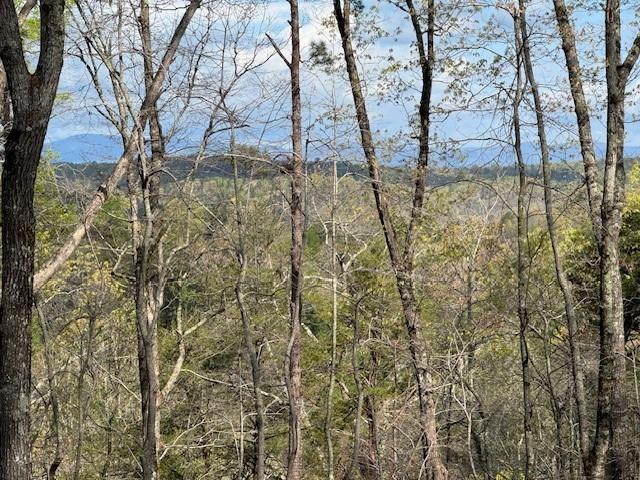 TRACT2 Panorama Dr., Dahlonega, GA 30533