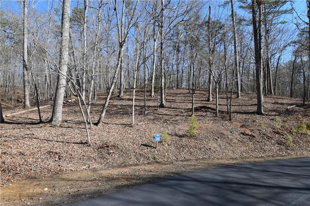 00 Harris Ridge Ln., Ellijay, GA 30540