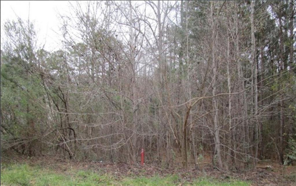111 Fordham Ct., Macon, GA 31220