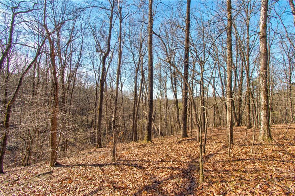 600 Chapman Ridge Ln., Dahlonega, GA 30533