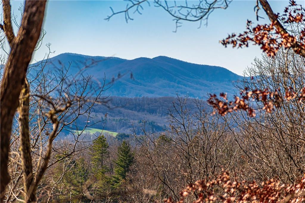 LOT 12 Meadow Brook Tr., Morganton, GA 30560