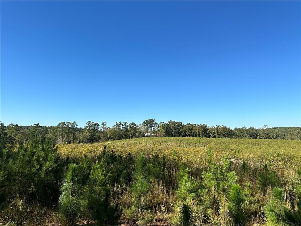 Prior Station Rd., Cedartown, GA 30125