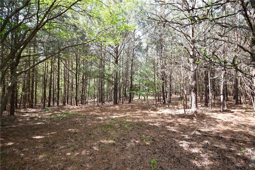 00001 Mt View Rd., Buchanan, GA 30113