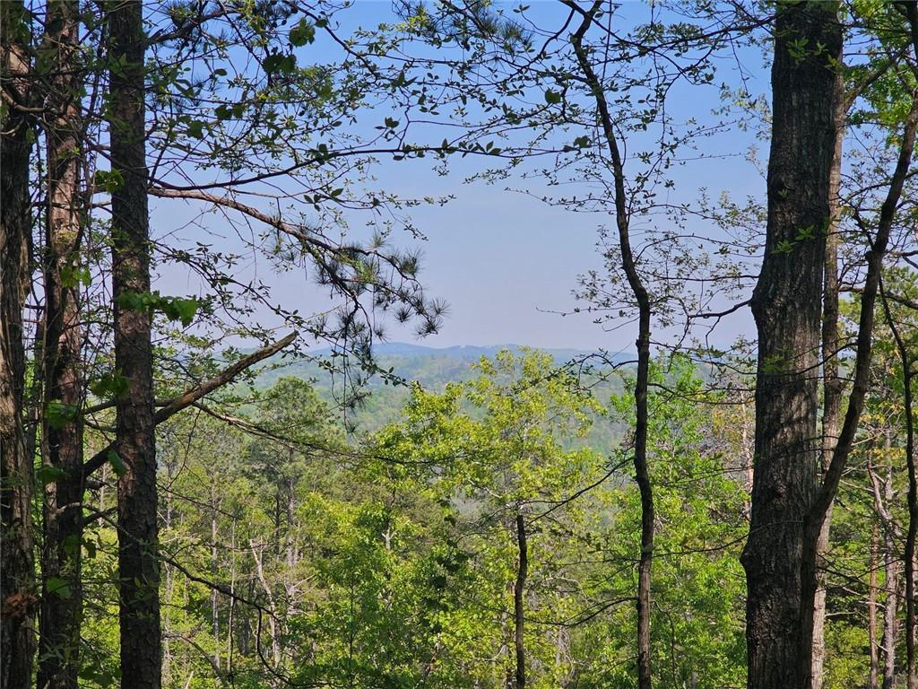 391 Meteor Ct., Ranger, GA 30734