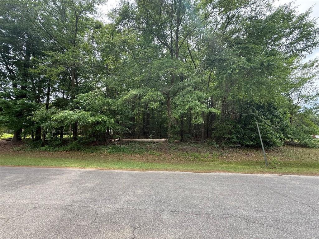 Elmore Dr., Jeffersonville, GA 31044