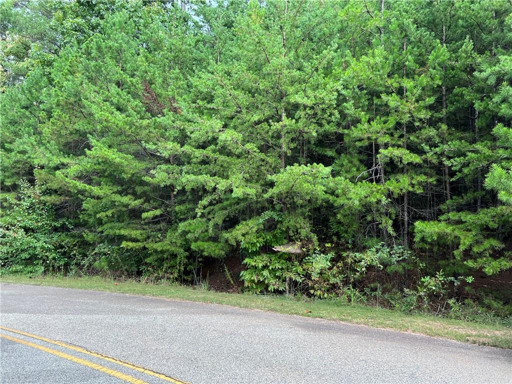 Pebble Creek Ln., Alto, GA 30510